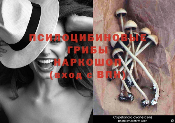 не бодяженный Козельск