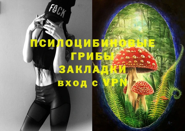 не бодяженный Козельск